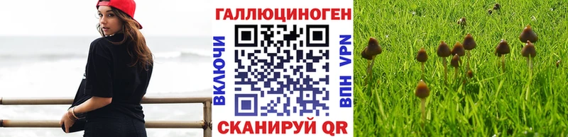 Галлюциногенные грибы Magic Shrooms  блэк спрут как войти  Юрьев-Польский 